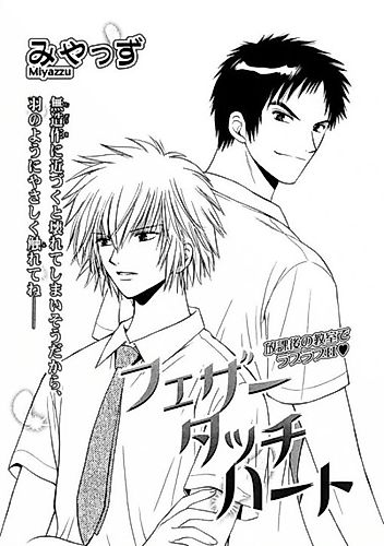 Cover image for Feather Touch Heart