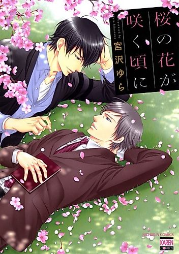 Cover image for When the Cherry Blossoms Bloom