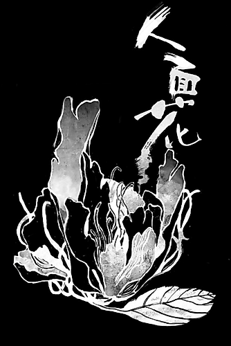 Cover image for Human Faced Flower
