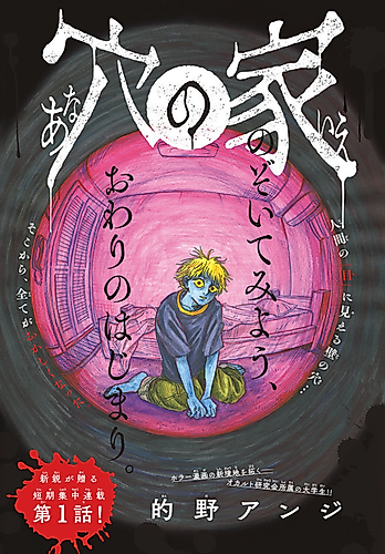 Cover image for House of Holes