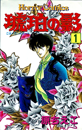 Cover image for Amber Silhouette