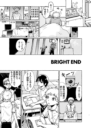 Cover image for BRIGHT END