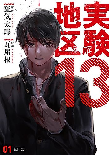 Cover image for Experimental Area 13