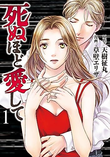 Cover image for Shinu Hodo Aishite