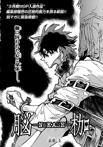 Cover image for Nokase