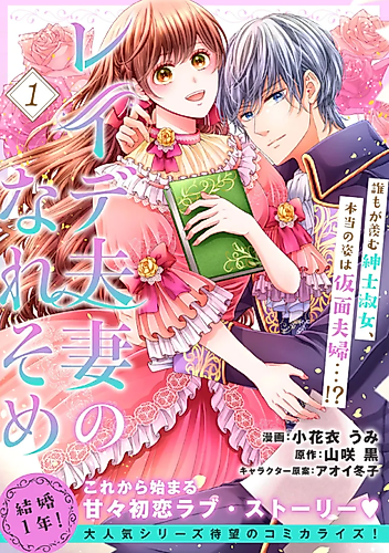 Cover image for Beginning of Love