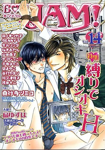 Cover image for Lichtenstein Hakase no Anyaku Suru Inbou ni Kansuru Report.