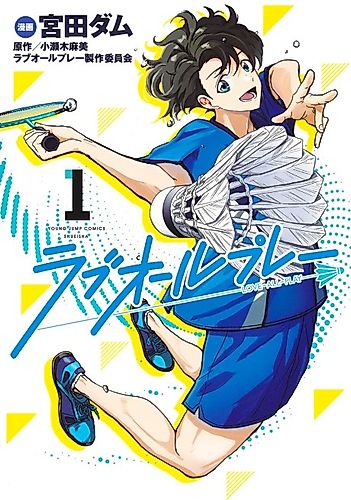 Cover image for Love All Play