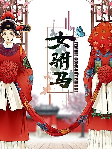 Cover image for Female Consort Prince