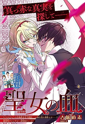 Cover image for Seijo no Chi