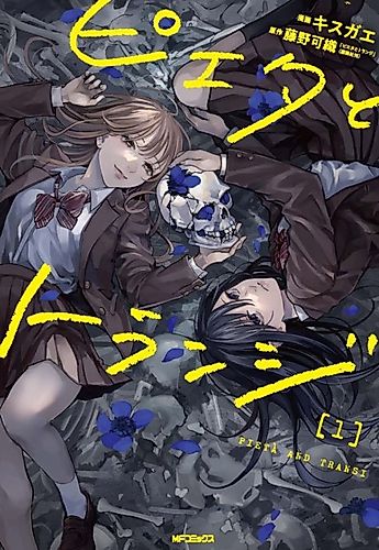 Cover image for Pieta and Transi