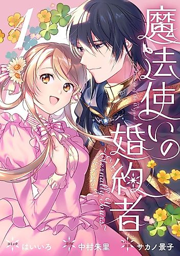 Cover image for Fiancee of the Wizard: Eternally Yours
