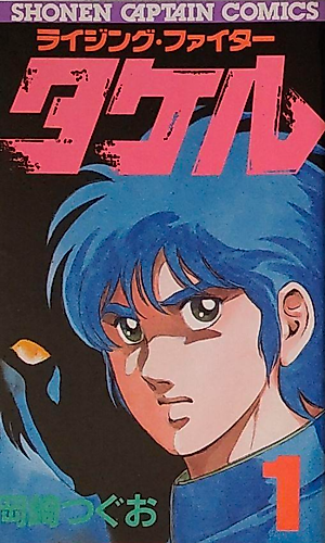 Cover image for Rising Fighter Takeru