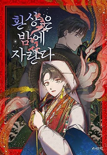 Cover image for Visions of the Night