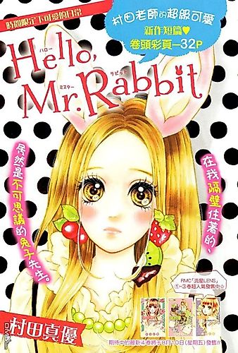 Cover image for Hello Mr. rabbit