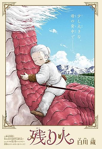 Cover image for Nokoribi