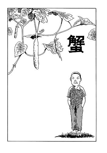 Cover image for The Crab