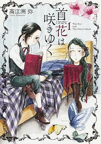 Cover image for The Boy and the Fairy's Head