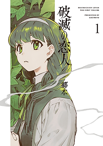 Cover image for Destruction Lover