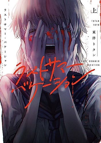 Cover image for Last Summer Vacation