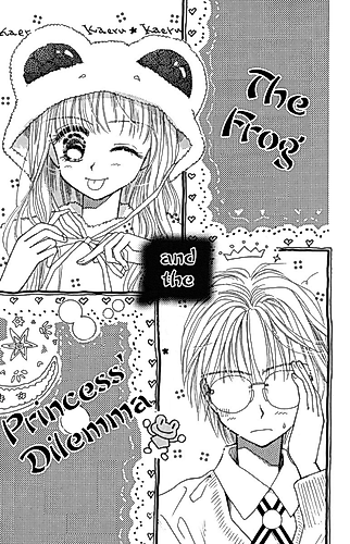 Cover image for The Frog and the Princess' Dilemma