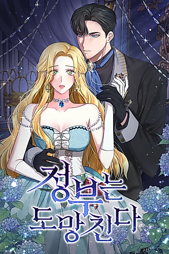 Cover image for The Mistress Runs Away