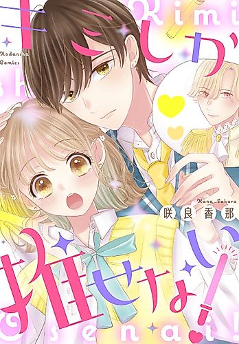 Cover image for Kimi Shika Osenai!