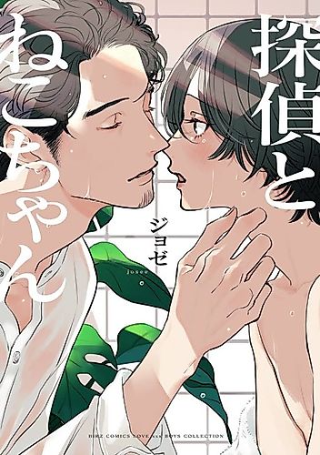 Cover image for The Detective and the Cat