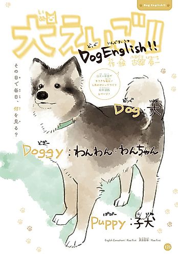 Cover image for Inu Eigo!!