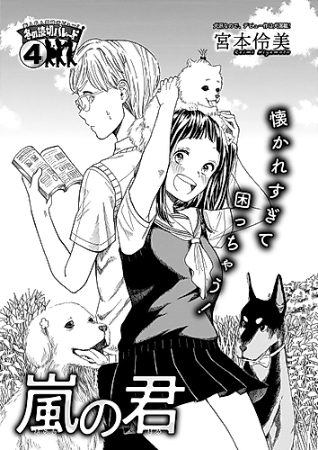 Cover image for Arashi no Kimi