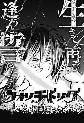 Cover image for Watchdog