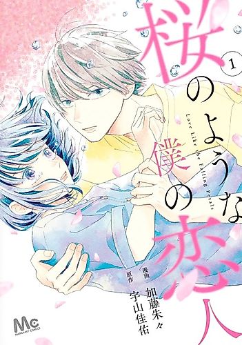 Cover image for My Dearest, Like a Cherry Blossom