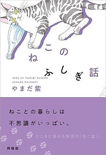 Cover image for Mysterious Cat Story