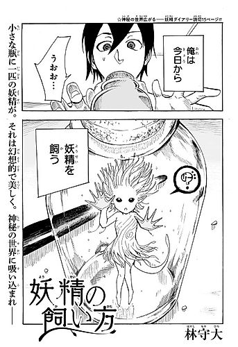 Cover image for Yousei no Kaikata