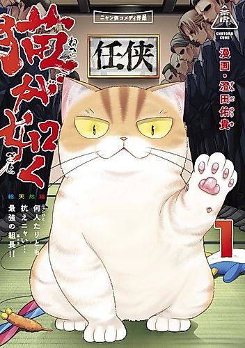 Cover image for Like a Cat