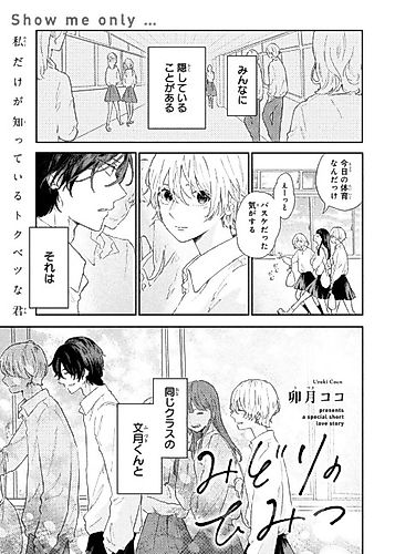 Cover image for Midori's Secret