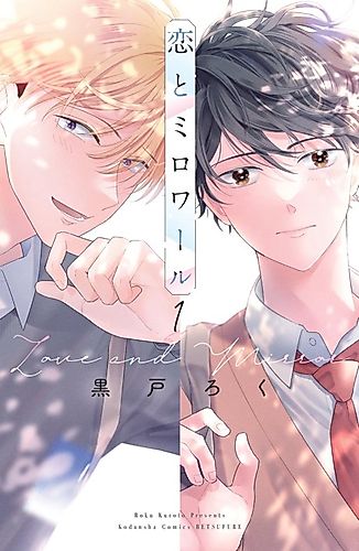 Cover image for Love and Mirror