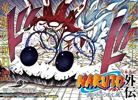 Cover image for Naruto: The Whorl Within the Spiral