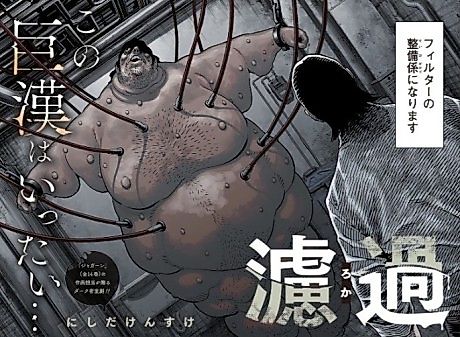 Cover image for Roka