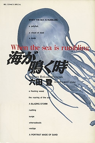 Cover image for When the Sea is rumbling