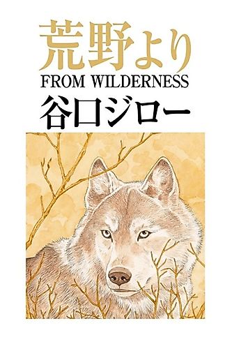 Cover image for From Wilderness