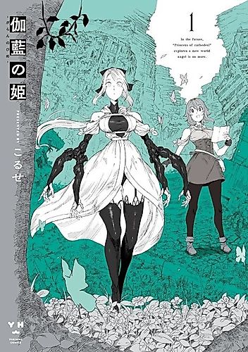 Cover image for Princess of Cathedral