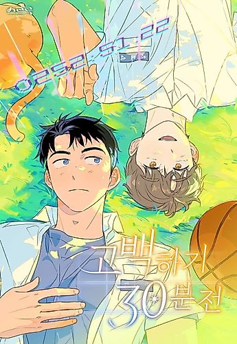 Cover image for Countdown to Love