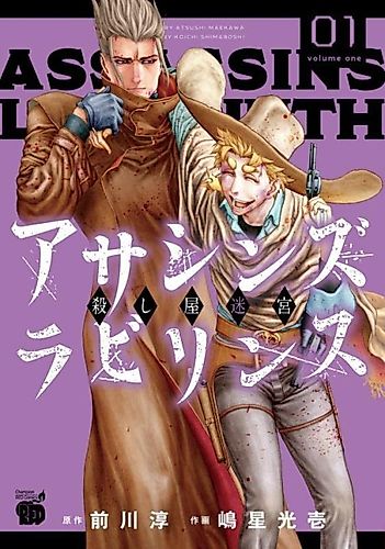 Cover image for Assassins Labyrinth