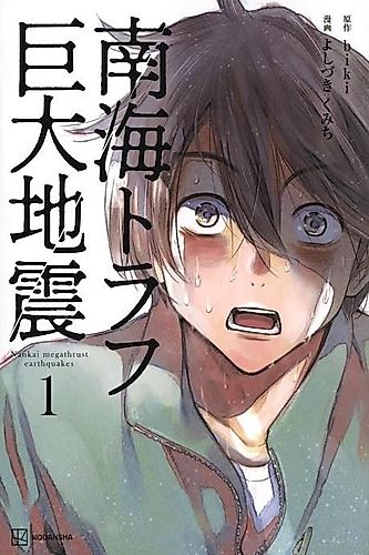 Cover image for Nankai Megathrust Earthquakes