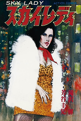 Cover image for Sky Lady