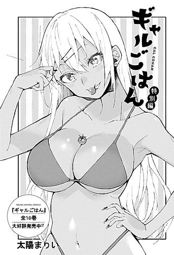 Cover image for Gal Gohan Extra