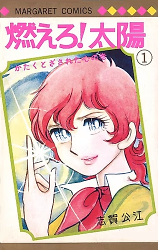 Cover image for Burn! Sun