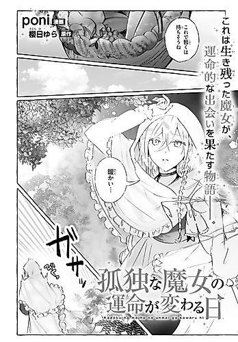 Cover image for Kodoku na Majo no Unmei ga Kawaru Hi