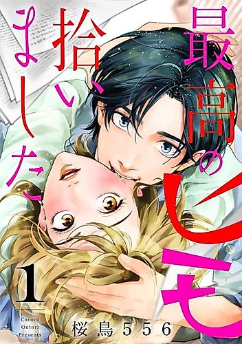 Cover image for Saikou no Himo Hiroimashita